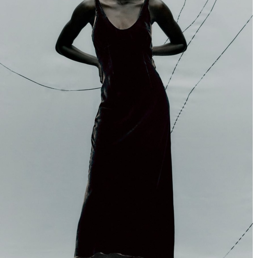 Zara Velvet Dress